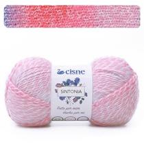 Fio Cisne Sintonia 100g