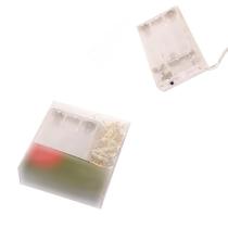 Fio de Micro LED 50 Lâmpadas Branco Quente 4,9m Fio Transparente Luz Fixa 1 Unidade