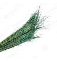 Fio De Ouro Desidratado Fio De Ouro Desidratado