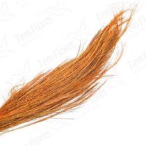 Fio De Ouro Laranja Flor Desidratada Buque Flores Secas