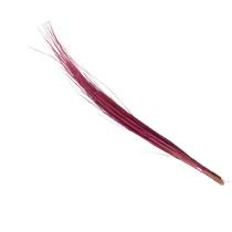 Fio de Seda Pink