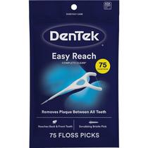Fio Dental com Haste DenTek Floss Picks Complete Clean Easy Reach 75un