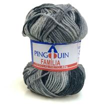 Fio Família 40g Cor 0070 Tufão - 100% Acrílico