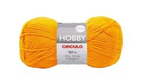 Fio hobby 160 mts 100 gr cor 1768 fascinio