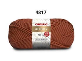 Fio Lã Hobby Circulo 100G Crochê Trico 3635 - Paixão