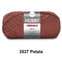 Fio Lã Hobby Circulo 100G Crochê Trico