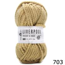 Fio Liverpool Pingouin 100g