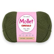 Fio Mollet Círculo 100g 200m Cor 9603 Salgueiro para Tricô, Crochê e Artesanato Fio Mollet Círculo 100g 200m Cor 9603 Salgueiro para Tricô, Crochê e Artesanato