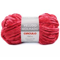 Fio Veludo Molhado Circulo 100g 100m - Cor 3635