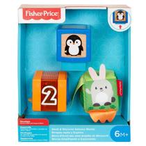 Fisher Price Blocos De Encaixe - Empilhando e Explorando - GML90 Mattel
