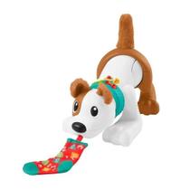 Fisher Price Cachorrinho Engatinha Comigo HHC55 Fisher Price Cachorrinho Engatinha Comigo HHC55