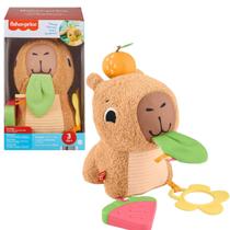 Fisher-Price Capivara Estimulos e Jogo JFW58 Fisher-Price Capivara Estimulos e Jogo JFW58
