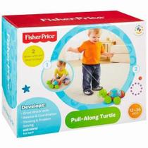 Fisher Price Empurra Tartaruga - Mattel Y8652