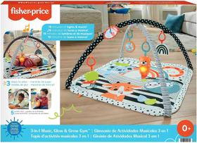 Fisher Price Ginásio De Atividades Musical 3 Em 1 com Mordedor JMN72 Fisher Price Ginásio De Atividades Musical 3 Em 1 com Mordedor JMN72
