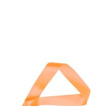 Fita de cetim 09 38mm c/50 mts cor 214 damasco peça