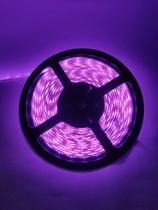 Fita de LED 3528 Rosa Rolo 5m - Bivolt