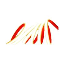 Fita Flexível De Luz De Néon LED IP68 COB À Prova D'água 5m 10m 15m 20m 12V 24V 320LED Lâmpada De