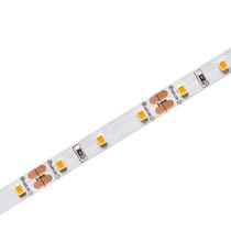 Fita LED 12v Evo 6 W/M Branco Quente 550lm/M Ip20 Rolo 5 Metros STH6800/27 Stella