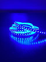 Fita Led 2835 5m 10w/m 120 Leds/m 12V Ip20 Colorida Azul