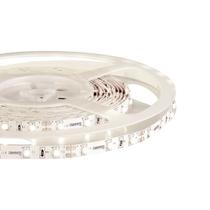 Fita Led 4.8w/M 6500k 12v 60leds/M 600lm/M Ip20 Rolo 5m
