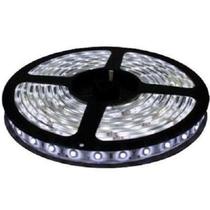 Fita Led 4.8W/M RL 5M IP20 12V