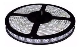 Fita Led 5050 Ip65 Branco Frio 5M Fita Led 5050 Ip65 Branco Frio 5M