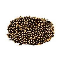 Fita LED À Prova d'Água 50M 100M 24V Luz Decorativa Cordão De Fada Para Jardim Externo Casa