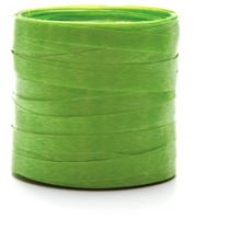 Fitilho 5MM X 50M Verde Especial Pacote com 10