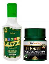Fitogel Gel de Arnica + Gel de Alecrim Ultra Refrescante - Massageam para Alívio das Tensões e Dor Muscular e nas Articulações