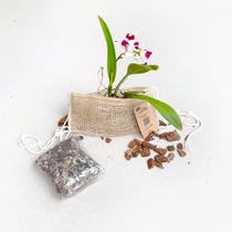 Fixador de Orquídea Suporte para Planta com Substrato Premium Fixador de Orquídea Suporte para Planta com Substrato Premium