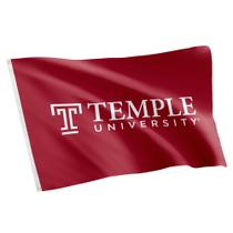 Flag Desert Cactus Temple University TU 100% poliéster 3 x 5 pés Flag Desert Cactus Temple University TU 100% poliéster 3 x 5 pés