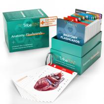 Flash Cards TriBern Anatomy and Physiology 320 Study