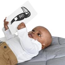 Flashcards Wee Gallery Art Cards Rainforest Animals Baby