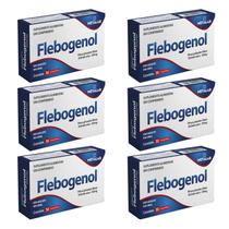Flebogenol Kit 6 Caixas com 30 Comprimidos Pinus Pinaster Aiton Extrato Seco