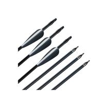 Flechas de Carbono (6 Unidades) - Ponta Removível, 80cm, 43g