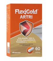 Flexigold Artri Colágeno Tipo 2 Magnesio 60 Caps