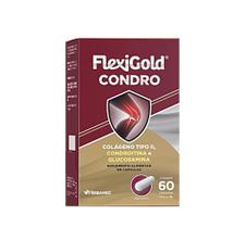 Flexigold Condro Colágeno Tipo 2 Condroitina 60 Capsulas Flexigold Condro Colágeno Tipo 2 Condroitina 60 Capsulas