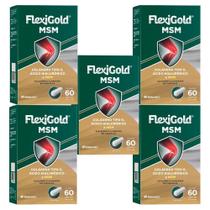 Flexigold Msm Herbamed Kit Com 5 Caixas De 60 Cápsulas Cada