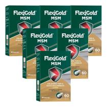 Flexigold Msm Herbamed Kit Com 6 Caixas De 60 Cápsulas Cada