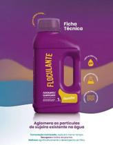 Floculante E Clarificante Piscina - Domclor - 1 L