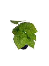 Flor Artificial Matinho Buque Decoração Arranjo de Flor Decorativo Flor Artificial Matinho Buque Decoração Arranjo de Flor Decorativo