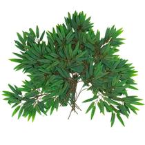 Flor Artificial Para Decoração De Plástico Caule Arranjo De Bambu - Castela