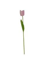 Flor artificial Tulipa Real Rosa