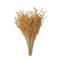 Flor Capim Dourado Sempre vivas Natural e Desidratado