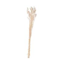 Flor cauda de coelho preservada 66cm mart Flor cauda de coelho preservada 66cm mart