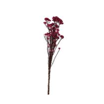 Flor de Arroz Preservada 72CM 16780- MART