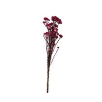 Flor de Arroz Preservada 72CM - Desidratada 72x15x2cm - Mart
