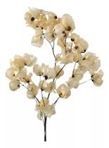 Flor De Bouganville Buganvília Branca Natural Desidratado