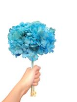 Flor De Hortência Azul Seca Natural Decoração - Stop Flores
