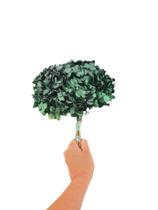 Flor De Hortência Verde Seca Natural Decoração Flor De Hortência Verde Seca Natural Decoração